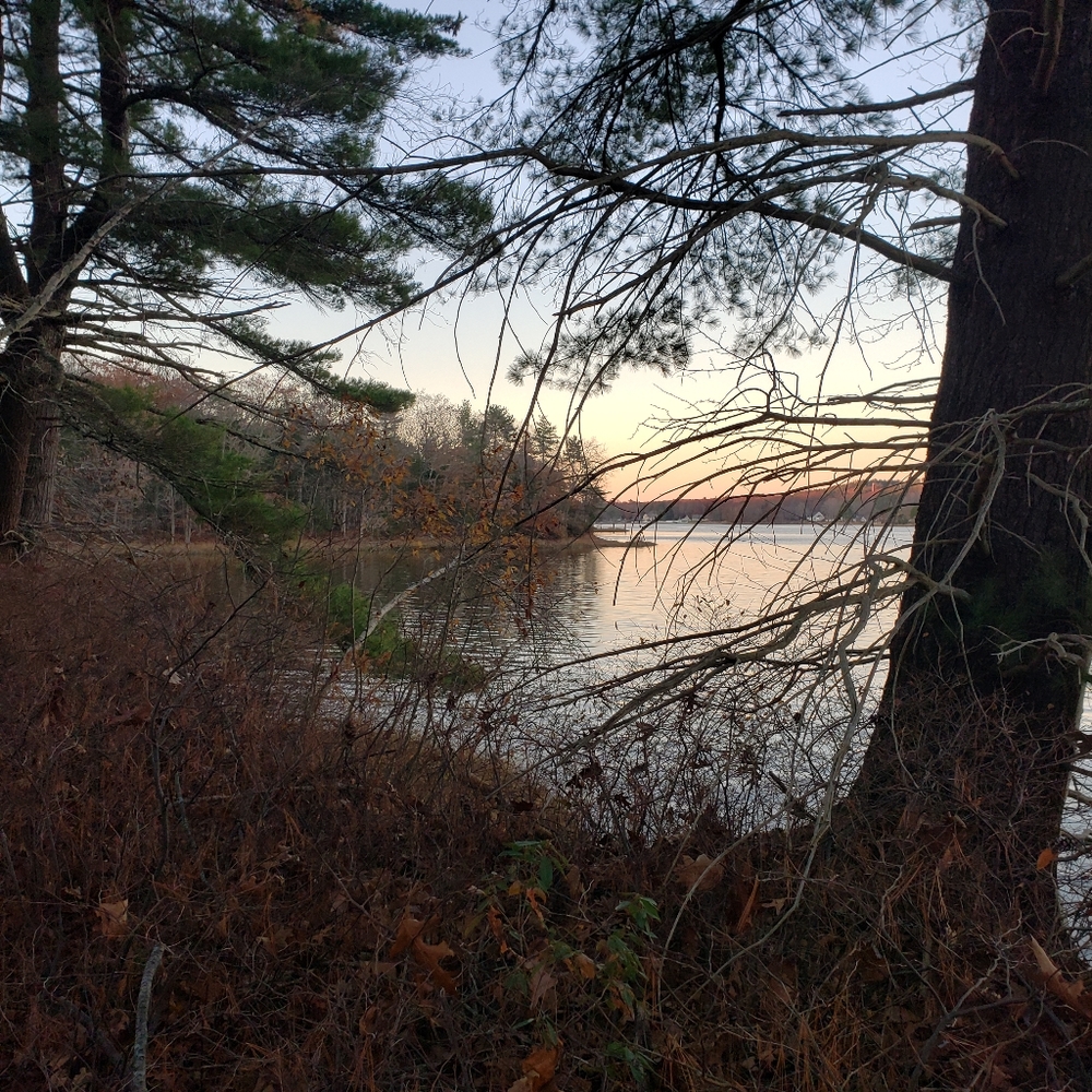 **SOLd*thankyou🌸💕Ariat Unbridled Roper• Leather Cowgirl Boots•Brown Leather - Picture 3 of 16
